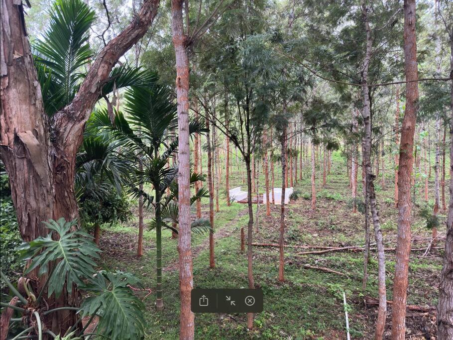 Serenity Farm Stay Hampāpura Dış mekan fotoğraf